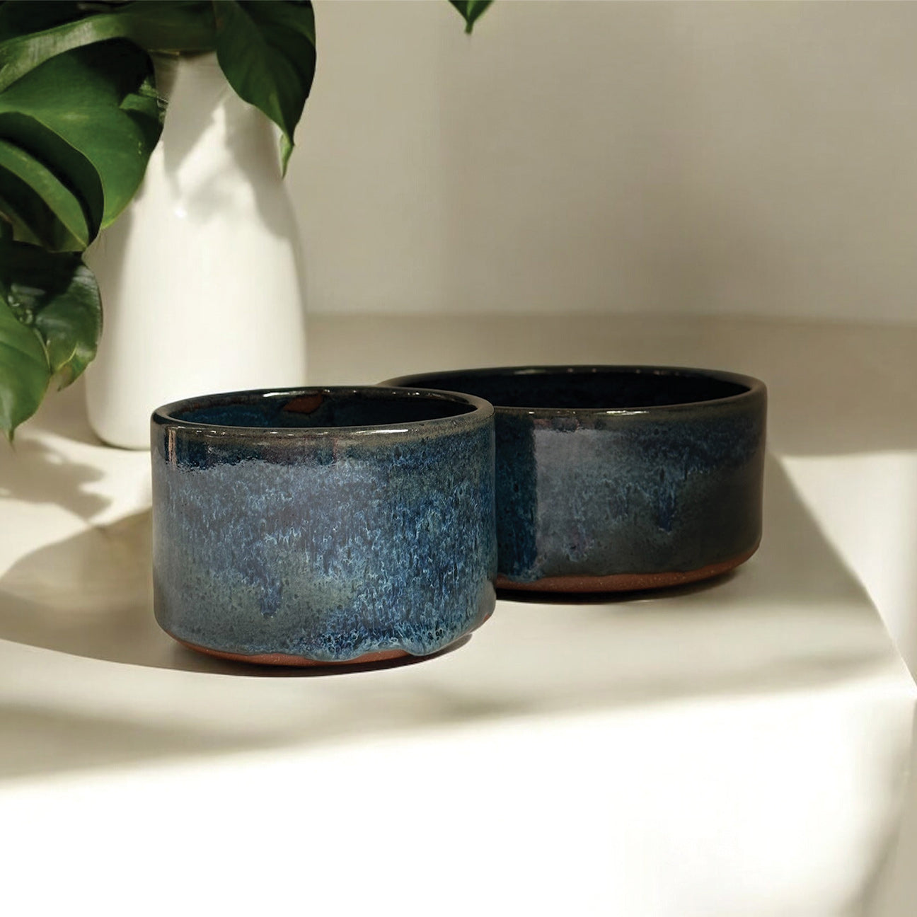 Ocean Snack Bowls