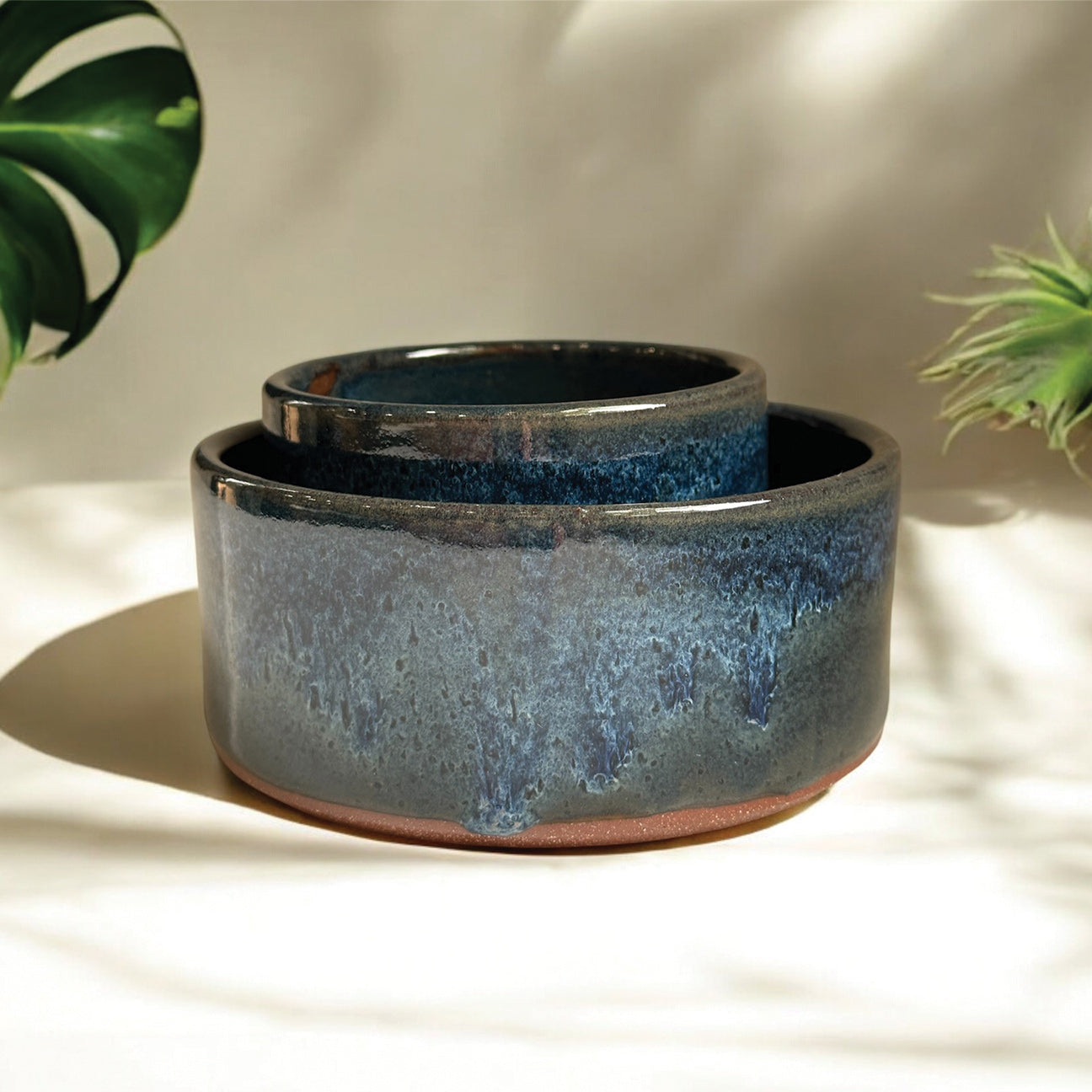 Ocean Snack Bowls