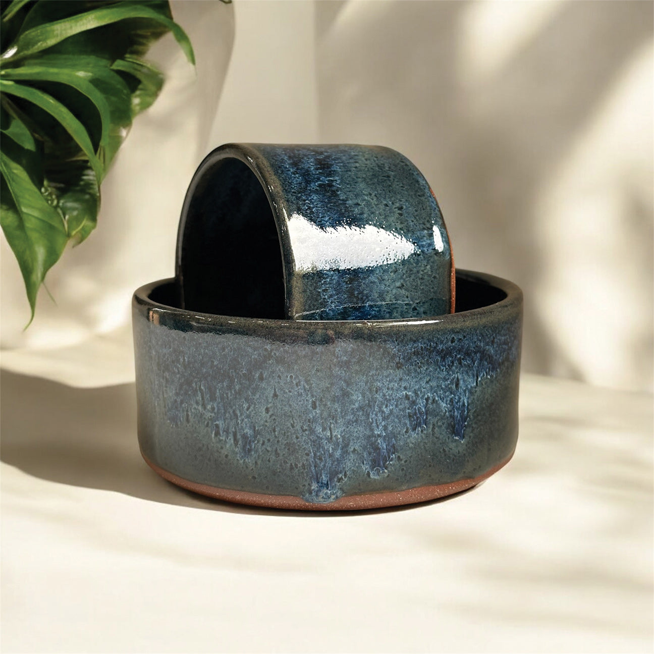Ocean Snack Bowls
