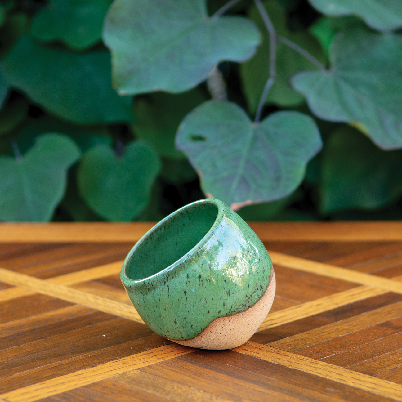 Olan’s Green Salt Pig