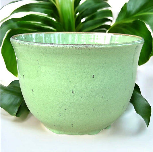 Spearmint Bowl Planter