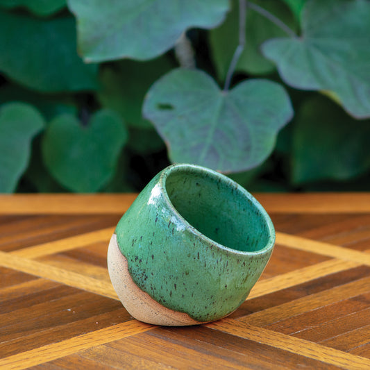 Olan’s Green Salt Pig