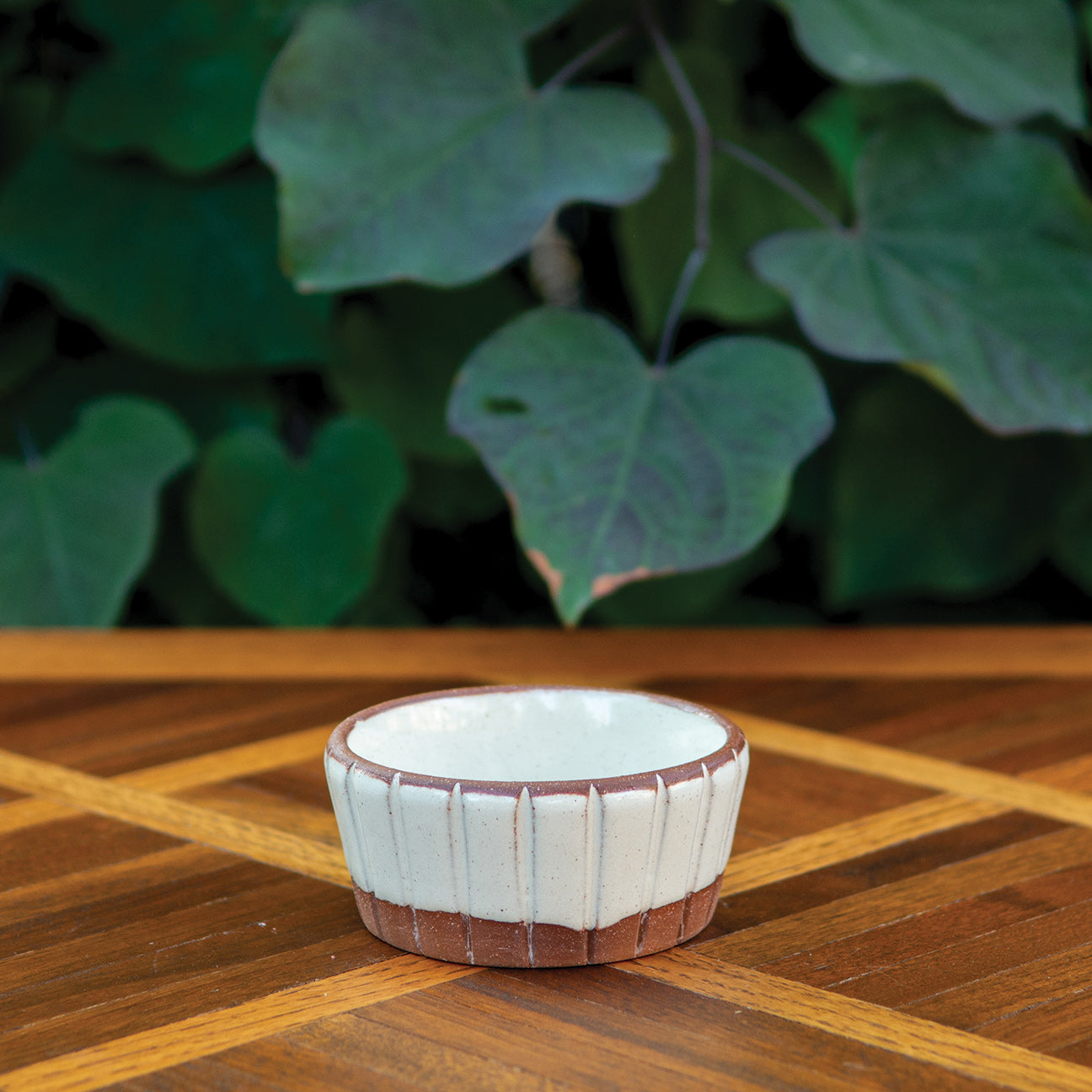 Creamy Striped Soufflé or Sauce Dish