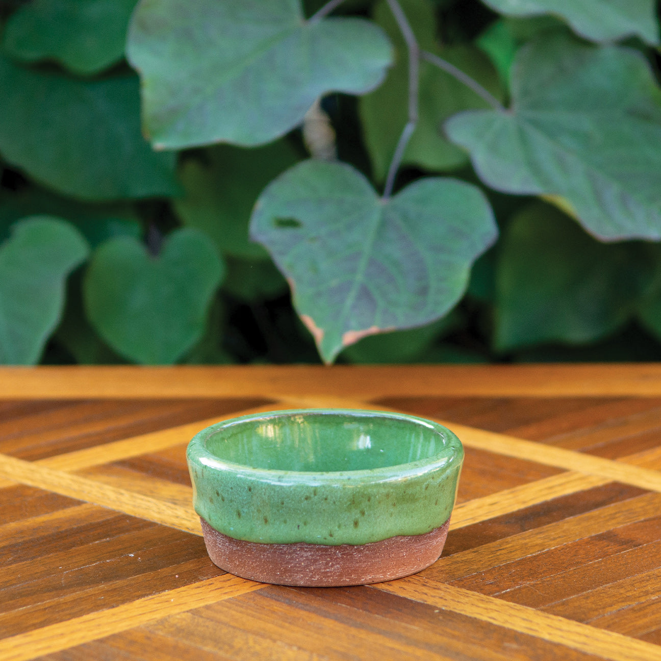 Olan’s Green Soufflé or Sauce Dish