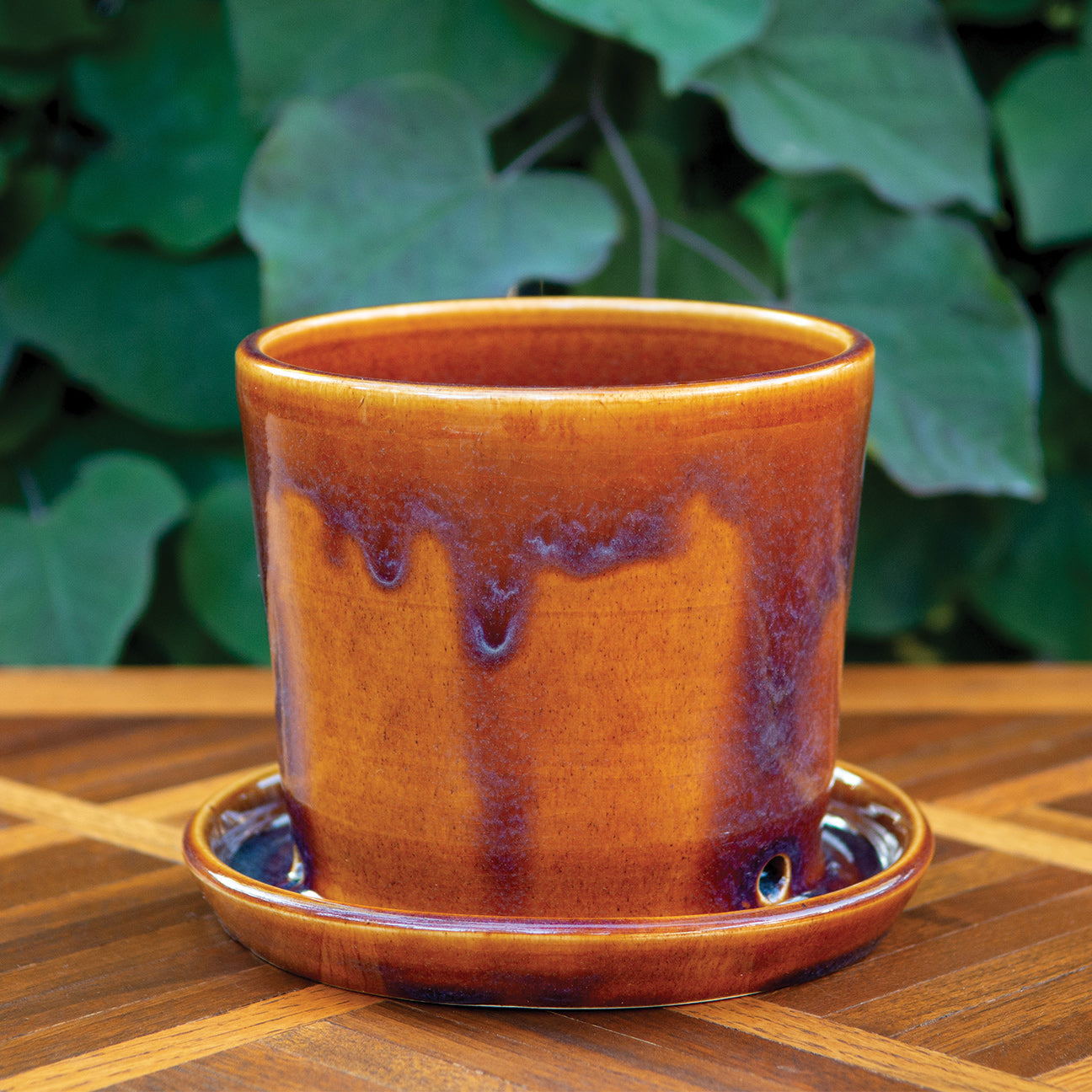 Sunset Planter with Attached Water Dish